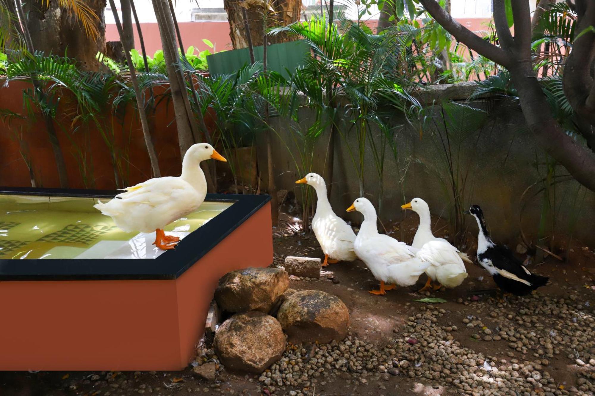 Lemon Tree Suites, Whitefield, Bengaluru Kültér fotó