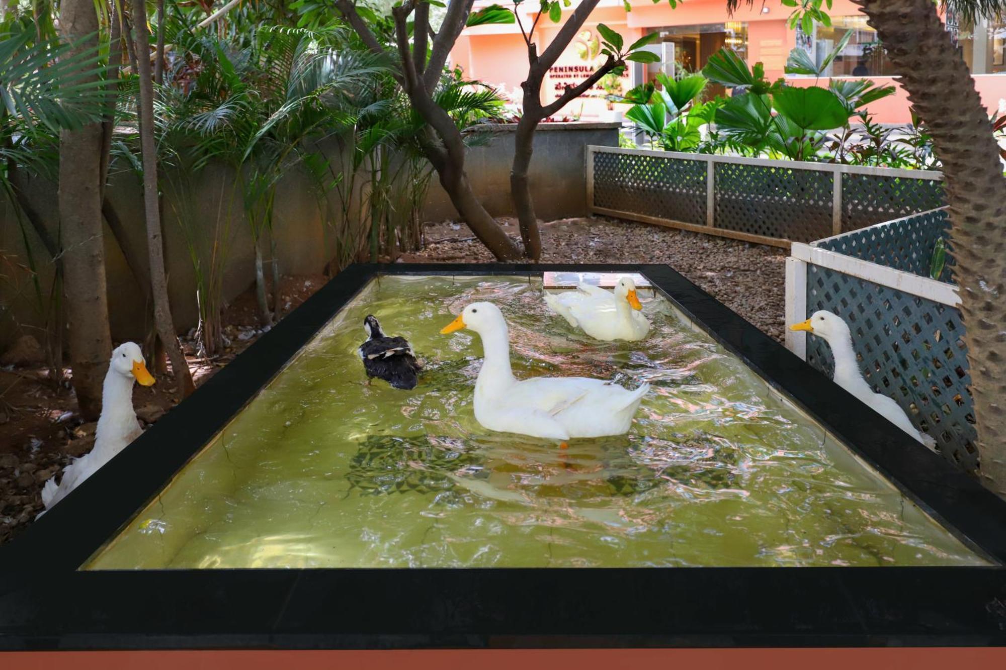 Lemon Tree Suites, Whitefield, Bengaluru Kültér fotó
